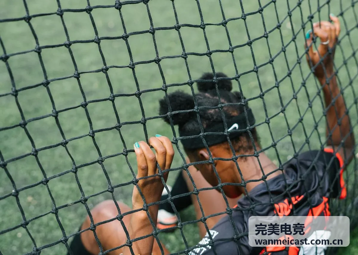 完美电竞直播封面