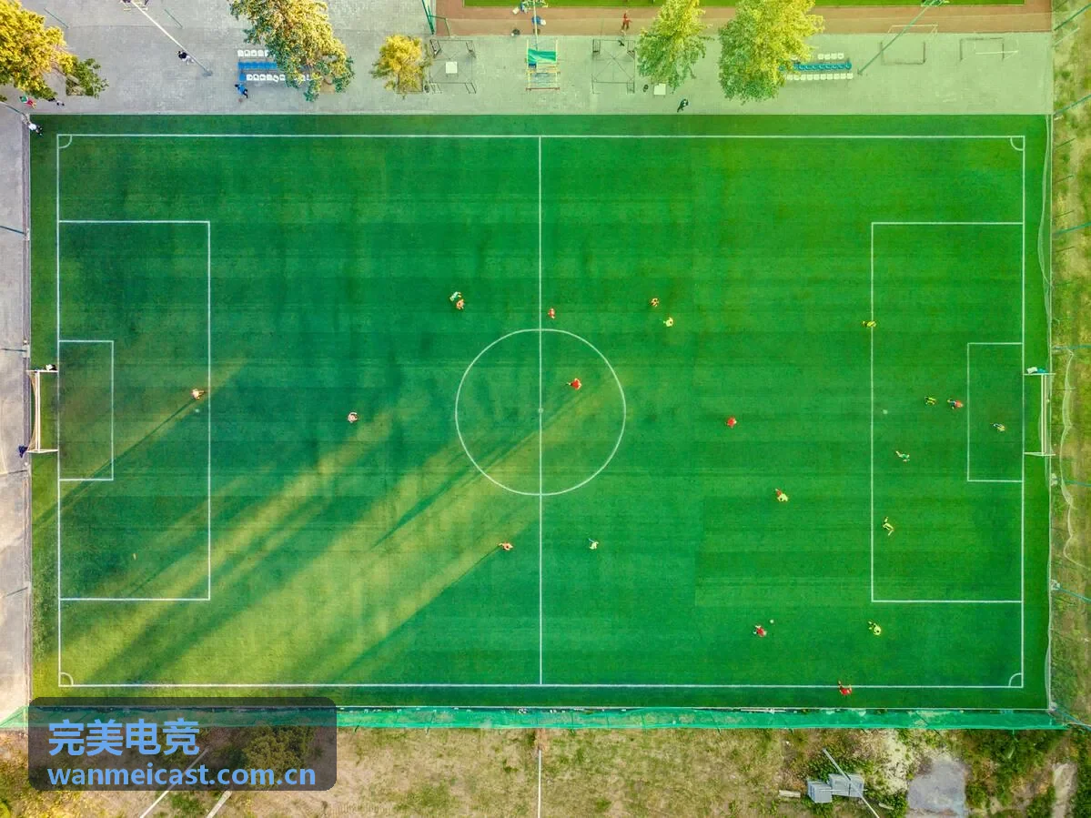 完美电竞版本专题：下路推进型